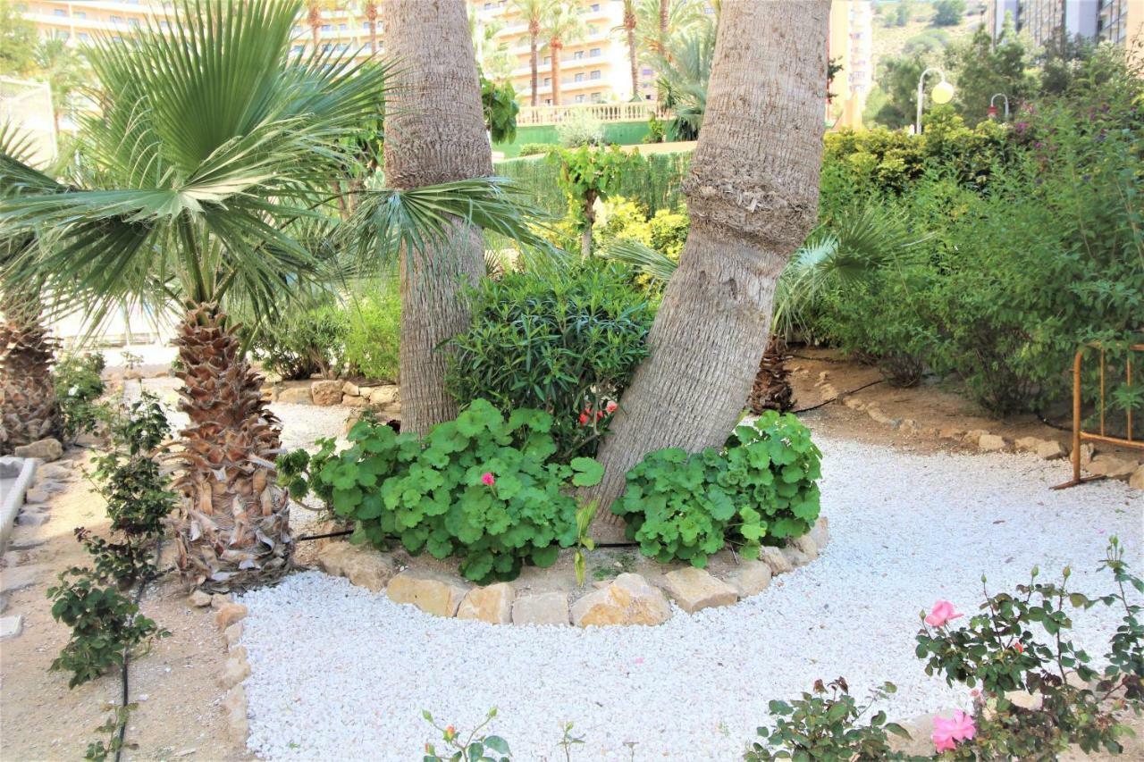 Atico Levante Torre Montecarlo Benidorm Ngoại thất bức ảnh