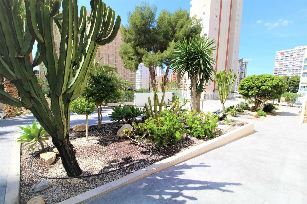 Atico Levante Torre Montecarlo Benidorm Ngoại thất bức ảnh